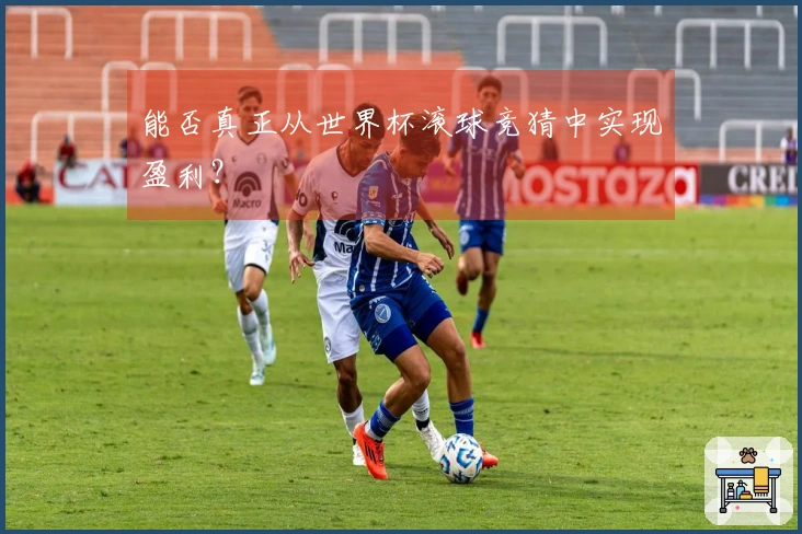 能否真正从世界杯滚球竞猜中实现盈利？