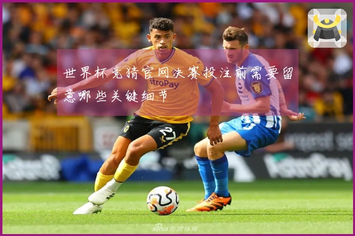 世界杯竞猜官网决赛投注前需要留意哪些关键细节