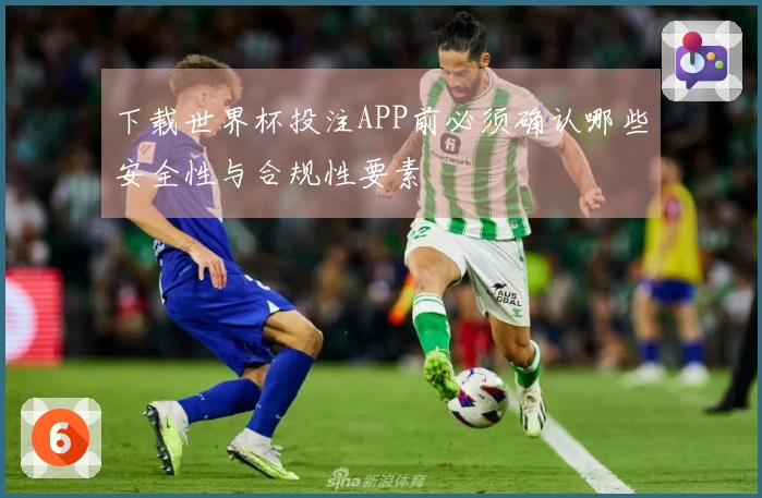 下载世界杯投注APP前必须确认哪些安全性与合规性要素