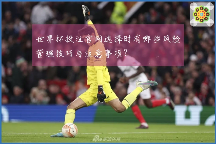 世界杯投注官网选择时有哪些风险管理技巧与注意事项？